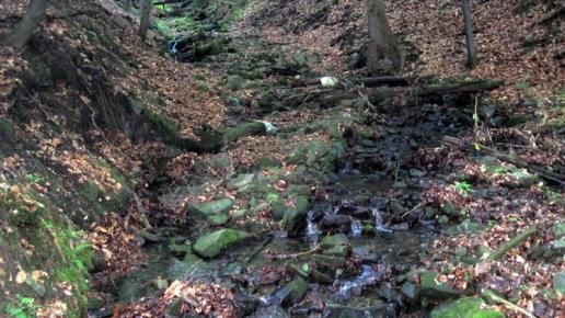 potok płynacy wzdłuż szlku zielonego na Skrzyczne, Roman Świątkowski