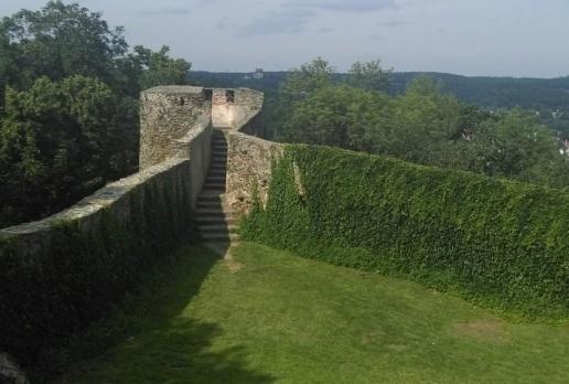 Zamek Bolków, Sasanka