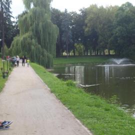 W parku, Tadeusz Walkowicz