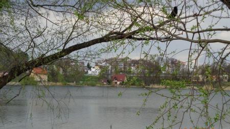 Jezioro Sztumskie w Sztumie - zdjęcie