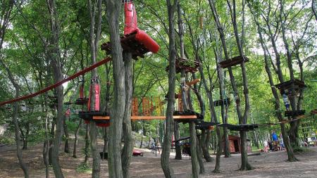 Park Linowy w Podzamczu - zdjęcie