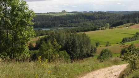 Ścieżka Wokół jeziora Jaczno - zdjęcie