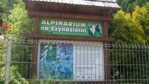 Alpinarium na Szyndzielni - zdjęcie