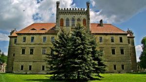 Zamek Mirów w Książu Wielkim - zdjęcie
