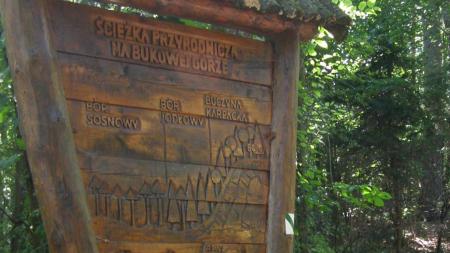Ścieżka dydaktyczna na Bukową Górę - zdjęcie