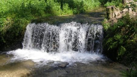 Wodospad Jeleń na Roztoczu - zdjęcie