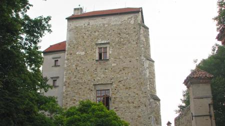 Wieża Ariańska w Wojciechowie - zdjęcie