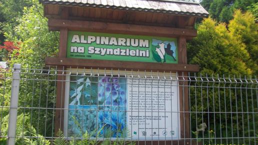 Alpinarium na Szyndzielni, mirosław