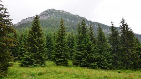 Iwaniacka Przełęcz w Tatrach - zdjęcie