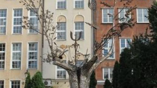 Drzewo Millenium Gdańska