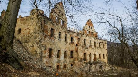 Zamek Niesytno w Płoninie - zdjęcie