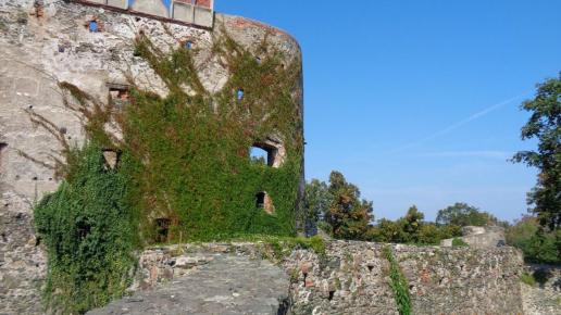 zamek od strony dziedzinca ogrodowego, Danusia