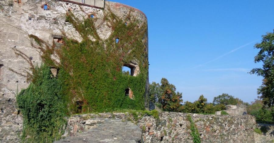 Zamek w Bolkowie - zdjęcie