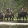 Wycieczka na słoniach po Parku, Tadeusz Walkowicz