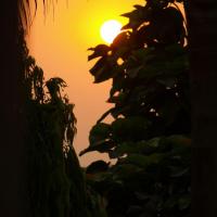 20.04.2009. Wschód słońca w Chitwan, Tadeusz Walkowicz