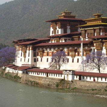 Punakha Dzong w widłach rzek Mo i Pho, Tadeusz Walkowicz