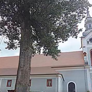 Kościół Św. Jakuba w Woliborzu