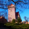 zamek Przemysla II na Wzgorzu Pzremysła , Barsolis Karol Turysta Kulturowy