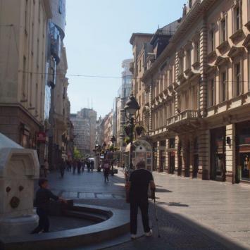 Ulice Belgradu, Tadeusz Walkowicz