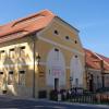 1.	Pałac w Łomnicy, Danusia