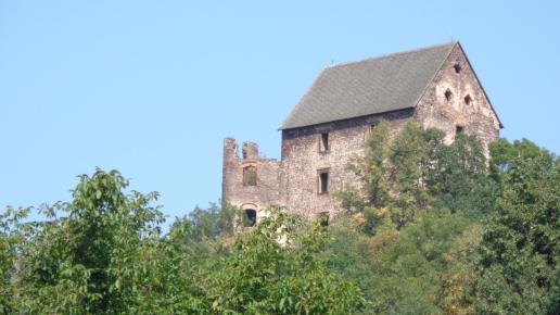 Zamek Świny, Danusia