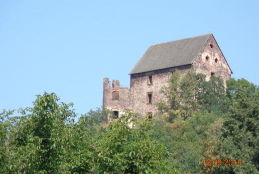 Zamek Świny, Danusia