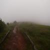 Na szlaku - mgła i deszcz, Tadeusz Walkowicz
