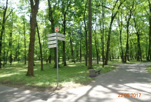 Park Zdrojowy, Danusia