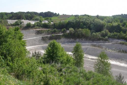 odkrywkowa kopalnia kredy w Mielniku, Joanna