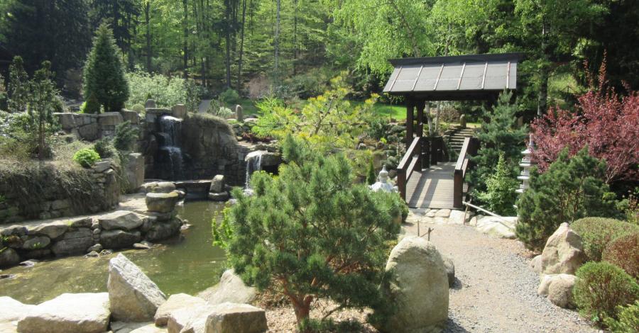 Ogród Japoński Siurawa -Kaskady Myi-Wodospad Podgórnej w Przesiece - zdjęcie