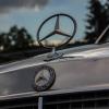 Mercedes, Fasola na Szlaku