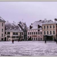 Tallin Stare Miasto, Fasola na Szlaku