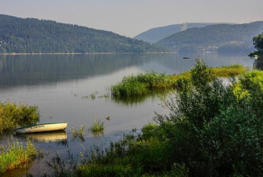 Widok na Jezioro Żywieckie i okolice ..., Fasola na Szlaku