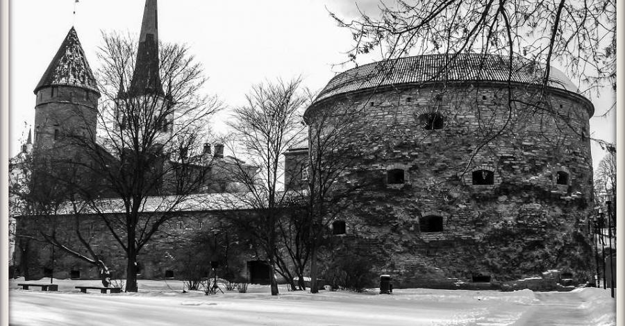 Tallin ... w styczniowym klimacie Estońska Stolica - zdjęcie