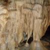 Jaskinia Niedźwiedzia, Danusia
