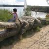 krokodyl w Okunince, Joanna
