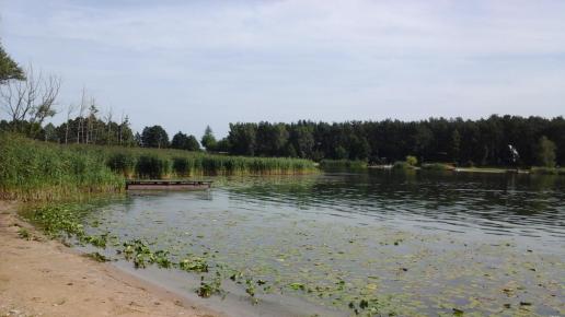 Jezioro Ślesińskie, Jola