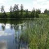 Jezioro Świniewo, toja1358