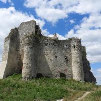 zamek w Mirowie, Joanna