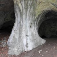 Jaskinia Ostrężnicka, Joanna