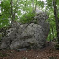 skała Pielgrzym w rezerwacie Sokole Góry, Joanna