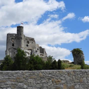 zamek w Mirowie, Joanna
