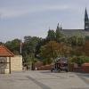 Sandomierz katedra