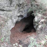 Jaskinia na Dupce, Joanna