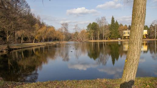 Park Leśna im. Kuronia w Sosnowcu