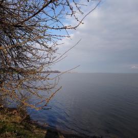 Jezioro Goczałkowickie, EmiZtg