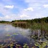 Poleski Park Narodowy - ścieżka Dąb Dominik - Jezioro Moszne, Magdalena