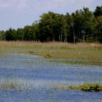 Poleski Park Narodowy - ścieżka Dąb Dominik - Jezioro Moszne, Magdalena