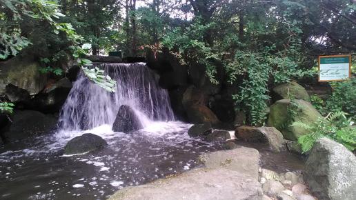 Wodospad w ogrodzie Japońskim, DominikPL