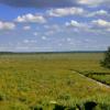 Poleski Park Narodowy - ścieżka dydaktyczna Czahary, Magdalena